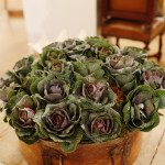 kale used as floral design for events