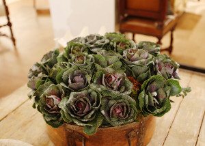 kale used as floral design for events